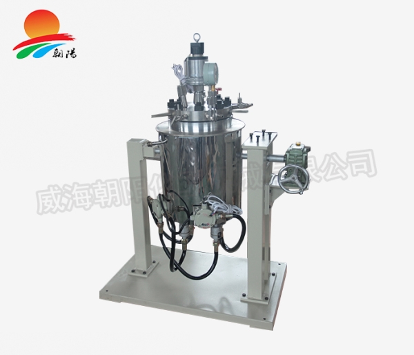 上海20L常规加氢设备